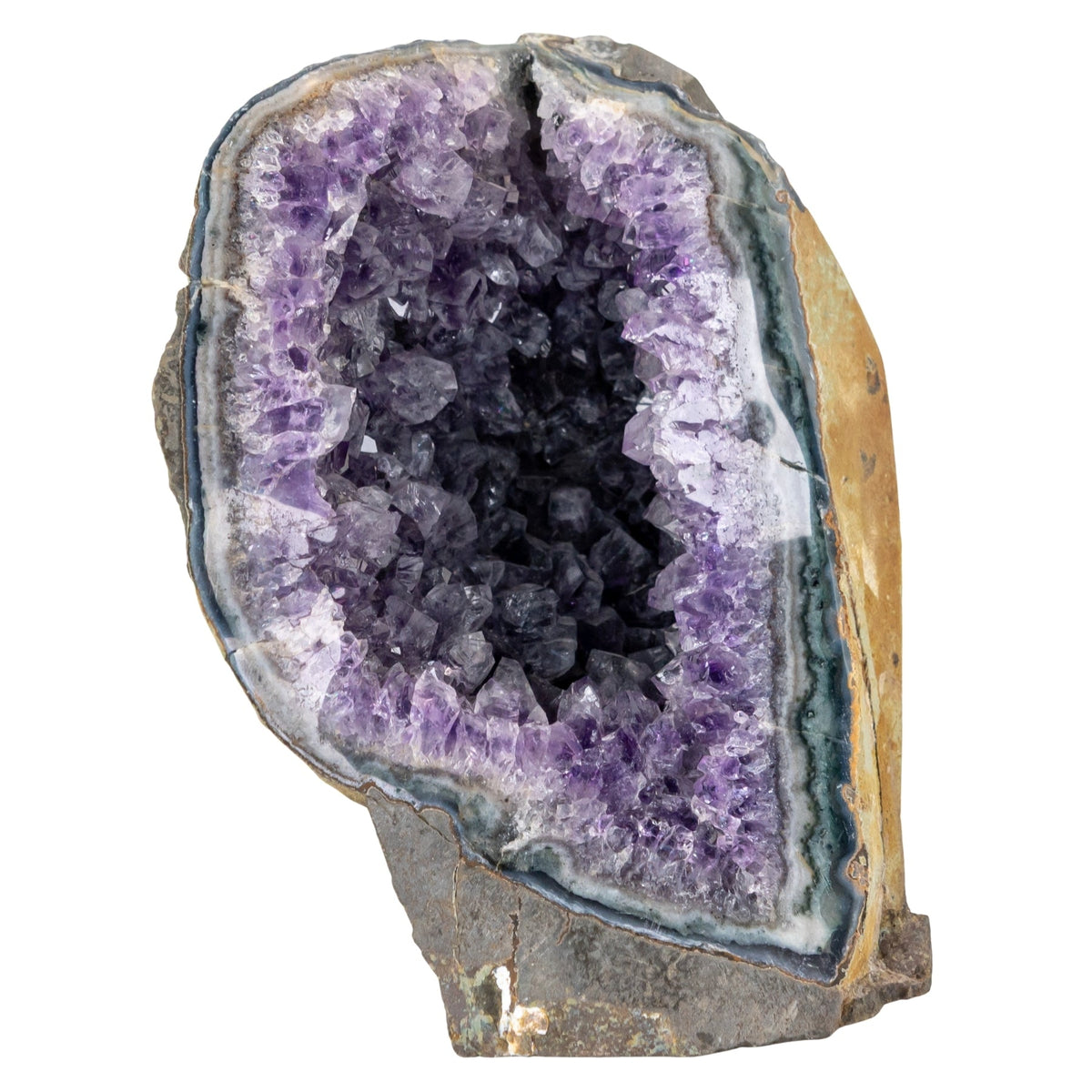 Amethyst Cut Base Geode Cluster