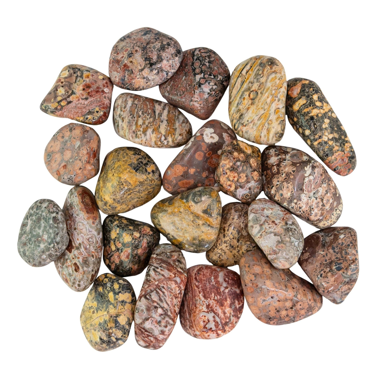 Leopardskin Jasper Tumbled 1lb