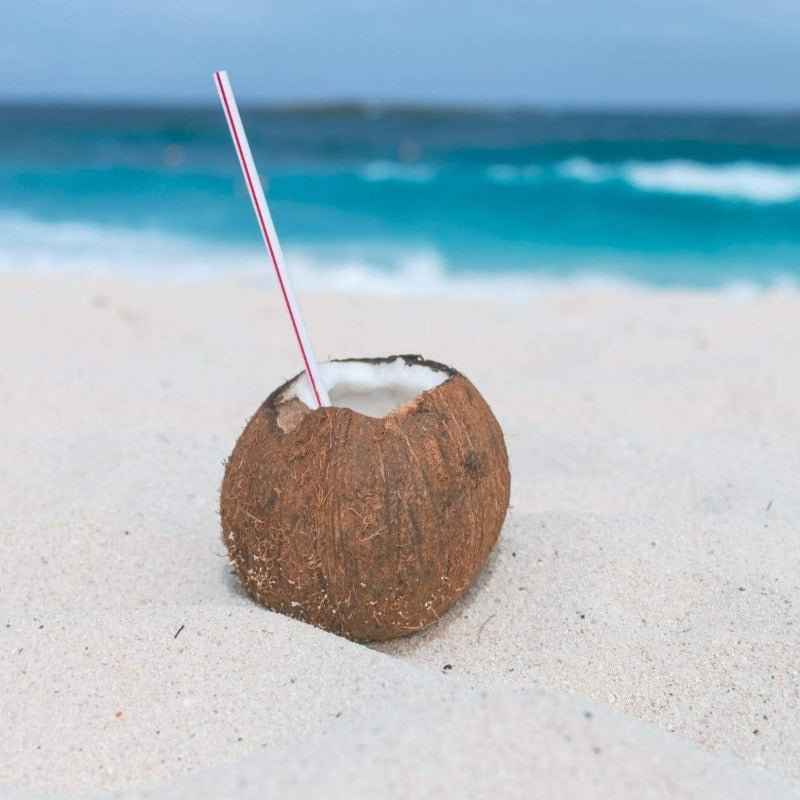 Sea Salt & Coconut - Premium Fragrance Oil