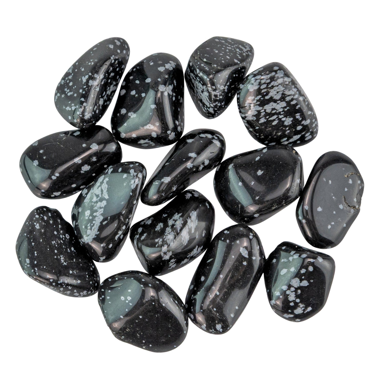 Snowflake Obsidian Tumbled 1lb