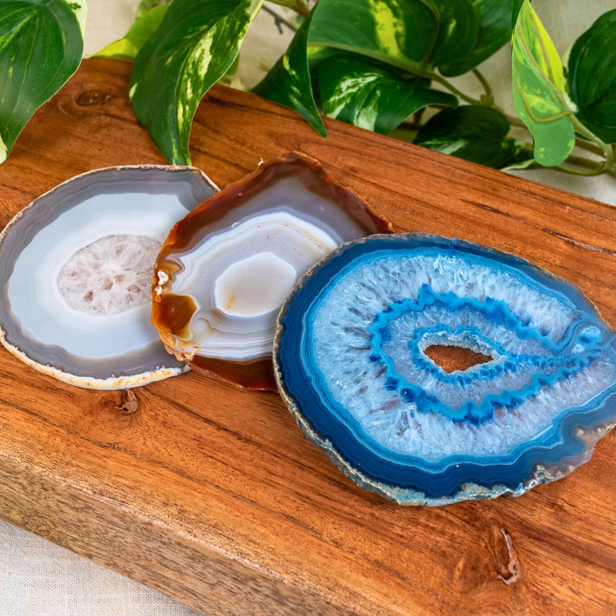 Agate Slices