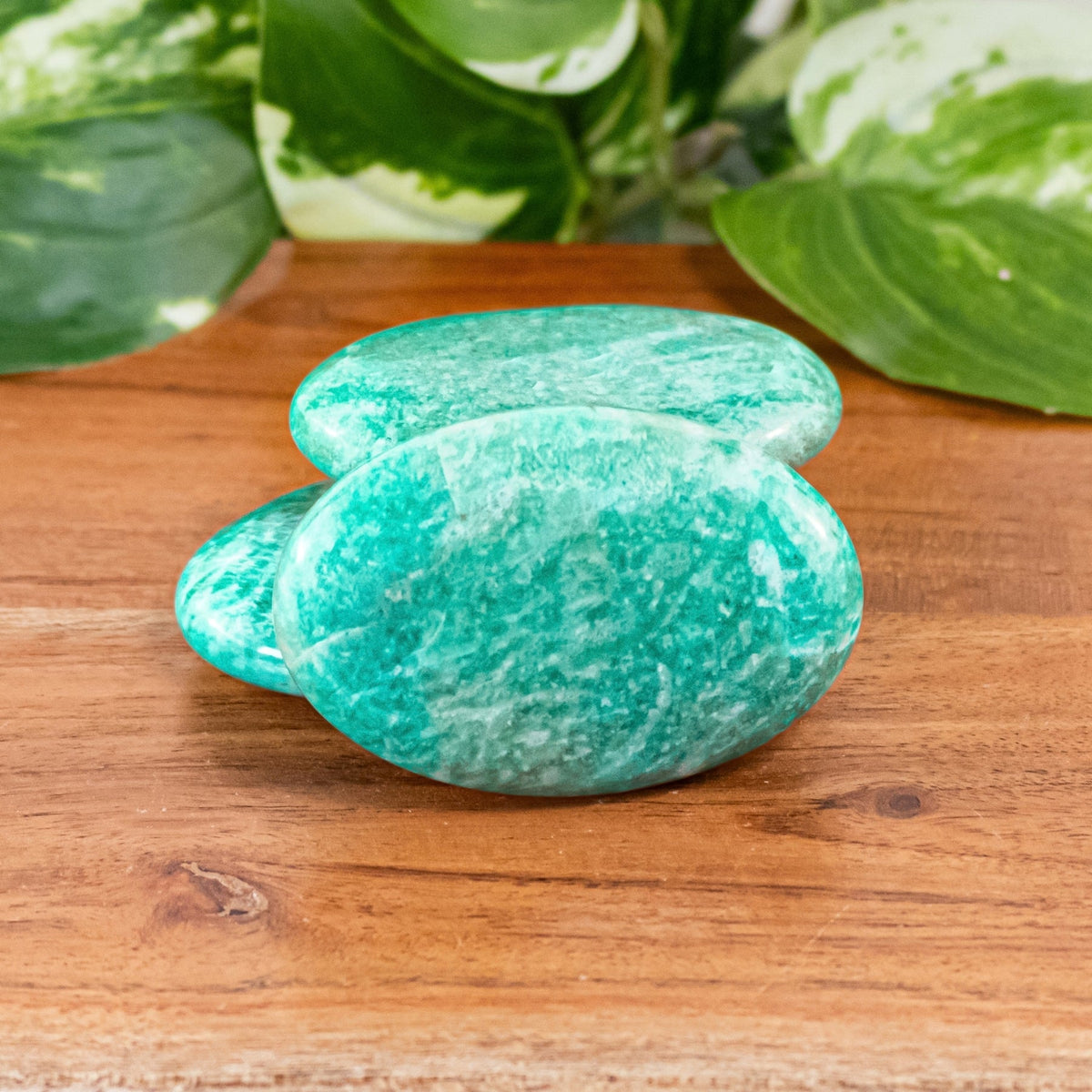 Amazonite Palm Stone