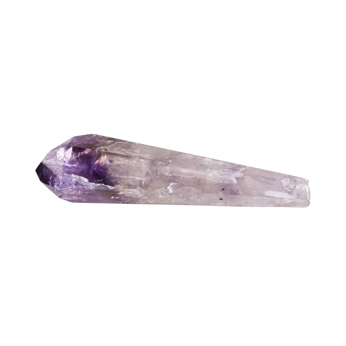Amethyst Phantom Vogel