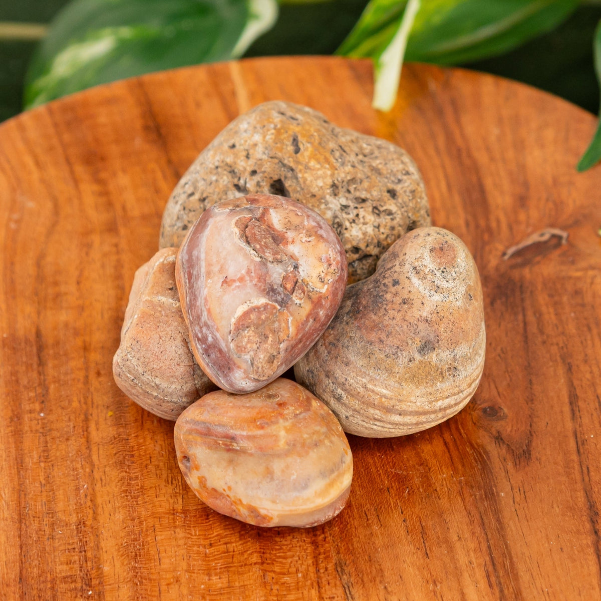 Bahia Agate Raw