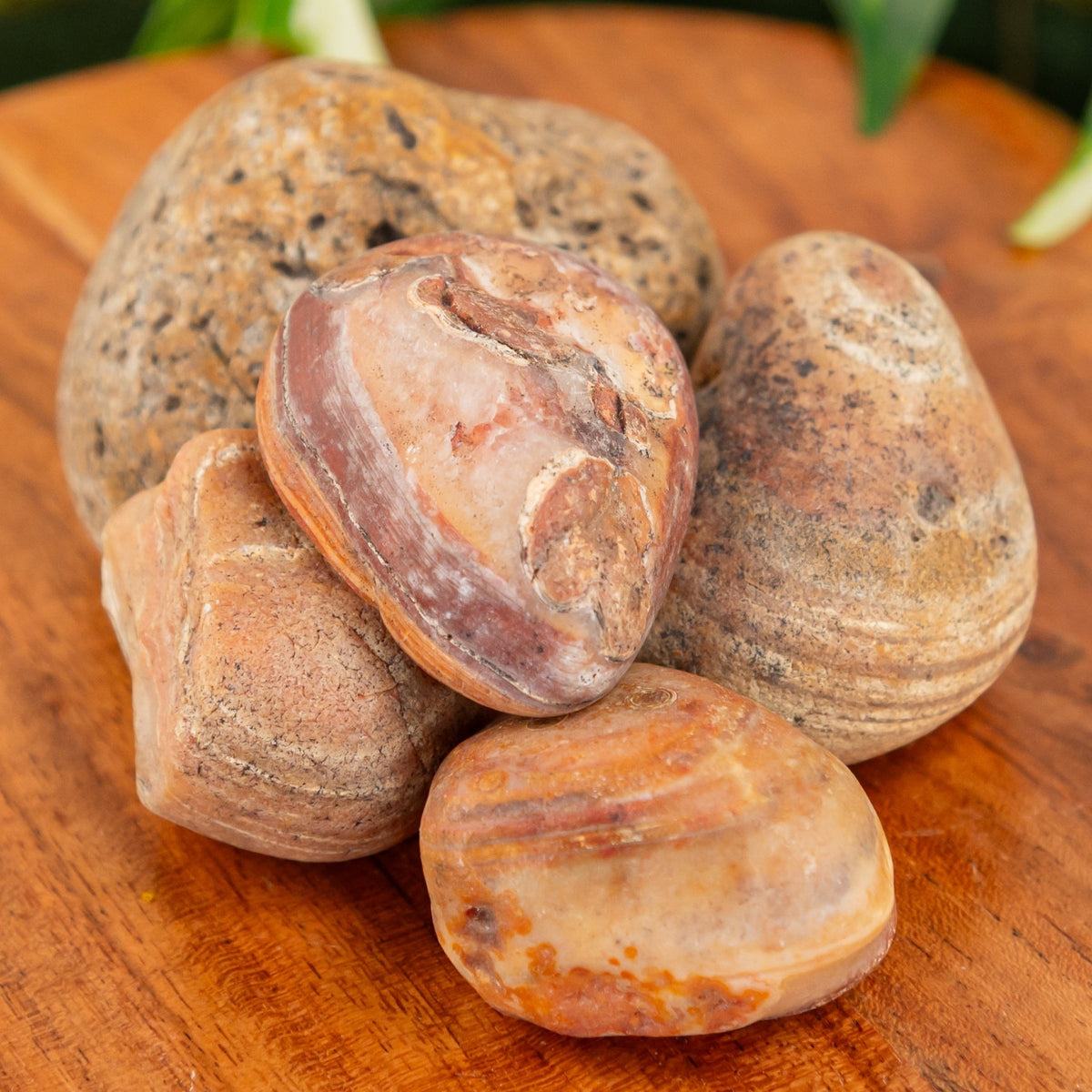 Bahia Agate Raw