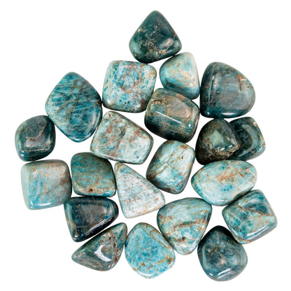 Blue Apatite Tumbled 1lb