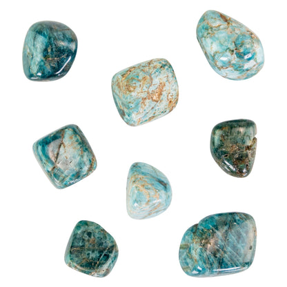 Blue Apatite Tumbled 1lb