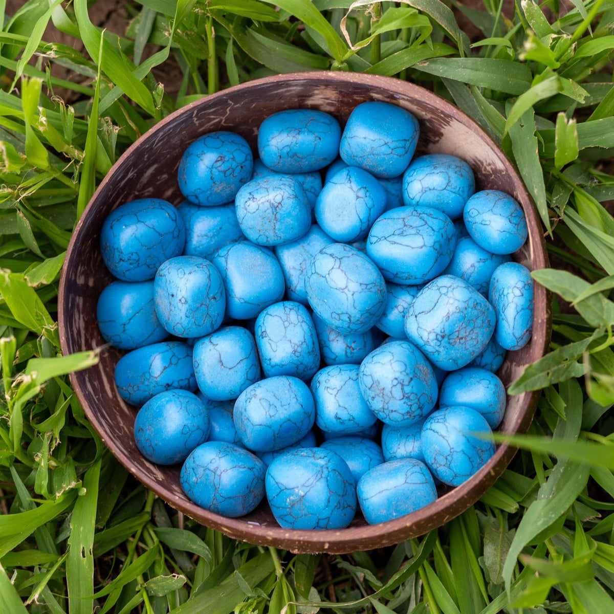 Blue Howlite Tumbled 1lb