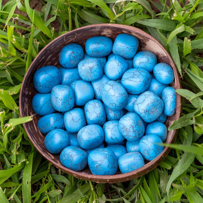 Blue Howlite Tumbled 1lb