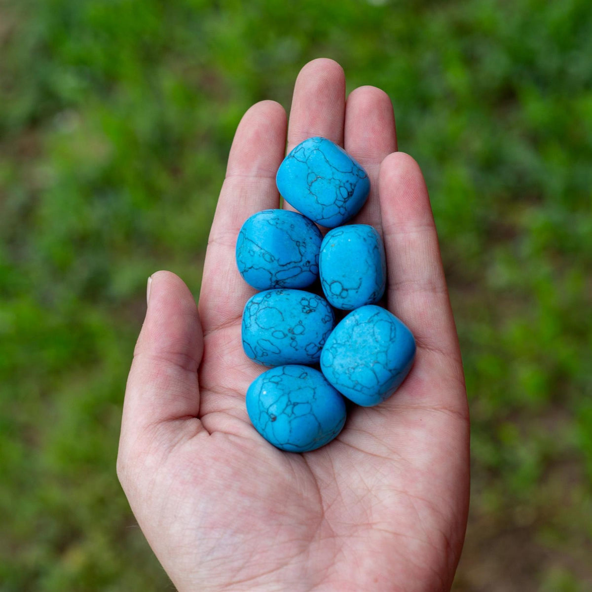 Blue Howlite Tumbled