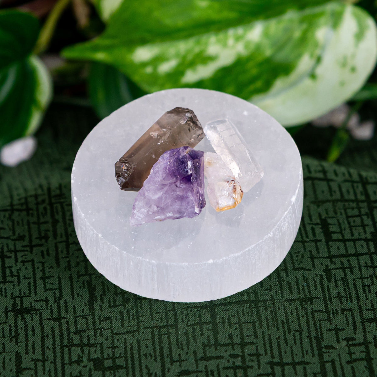Crystal Point Collection Plate