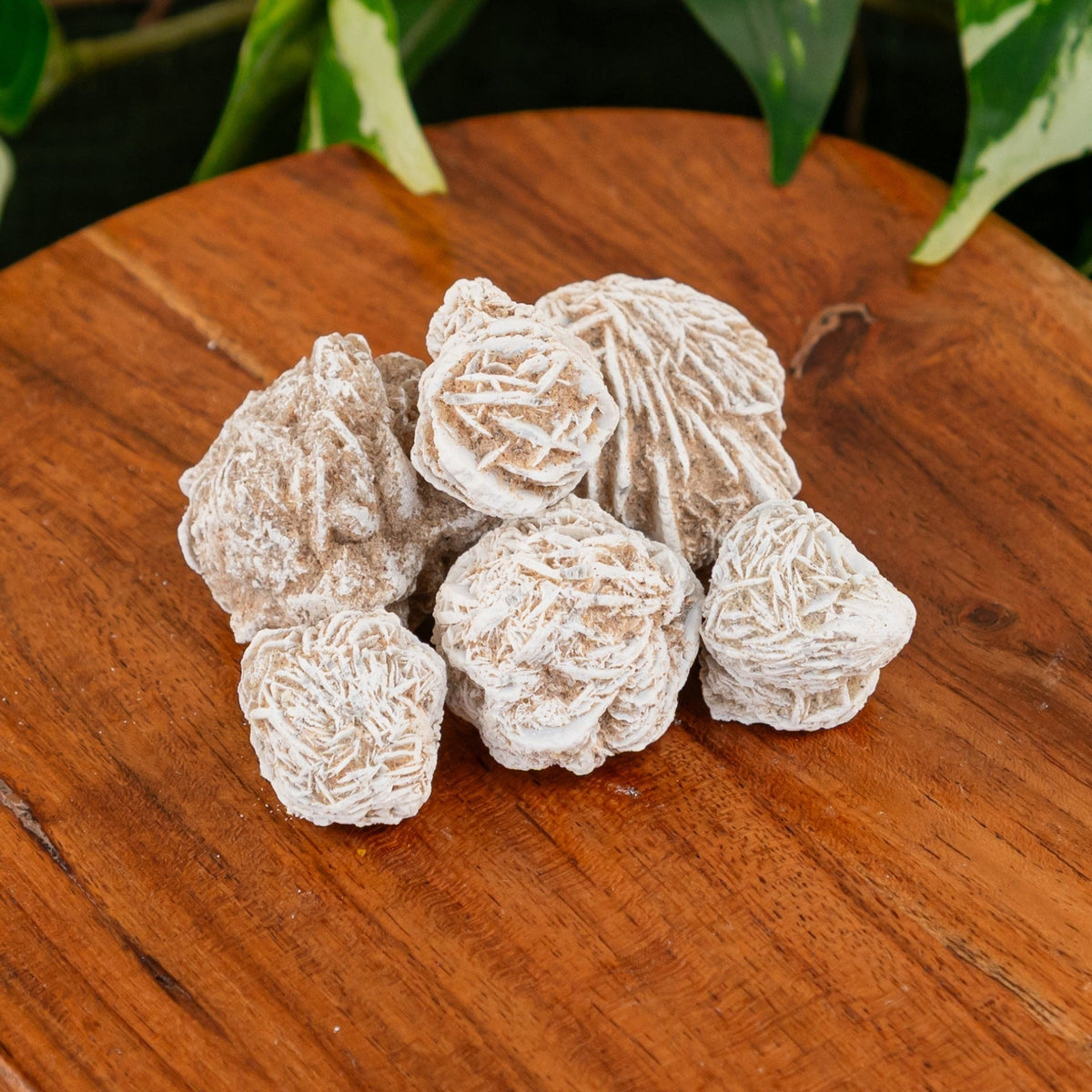 Desert Rose 1lb