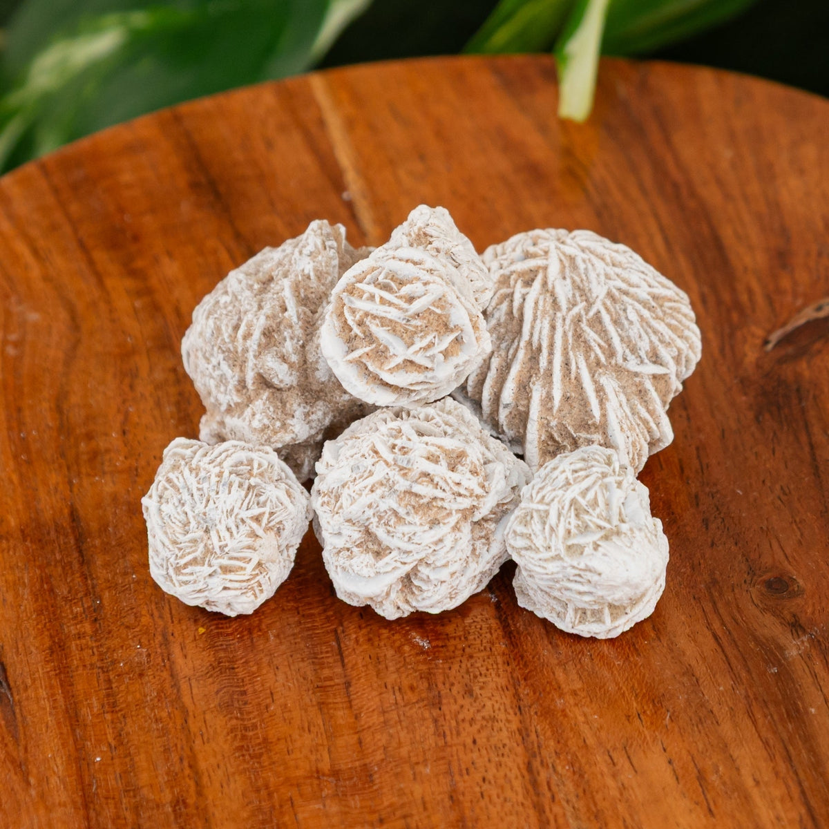 Desert Rose 1lb