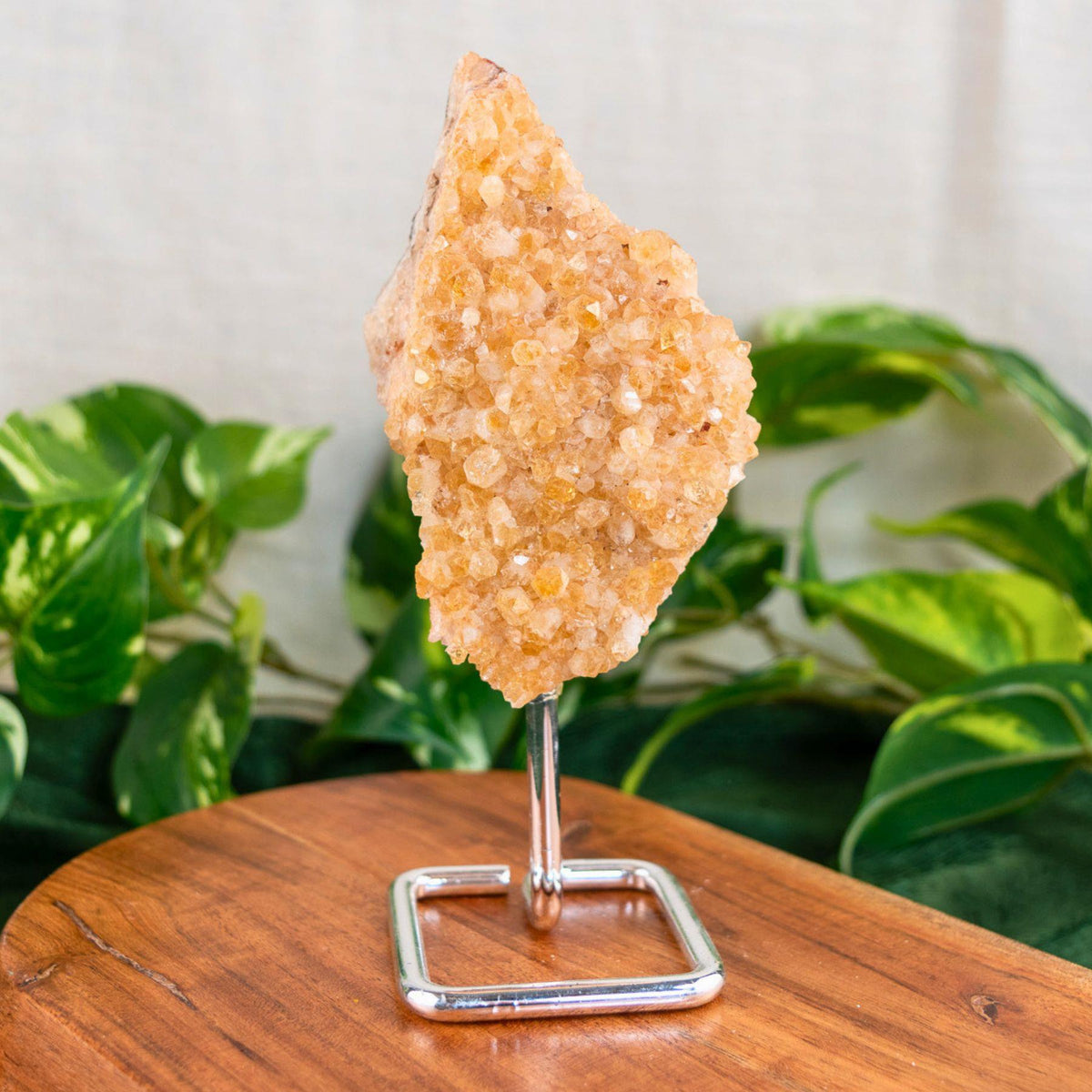 Druze Citrine on Stand