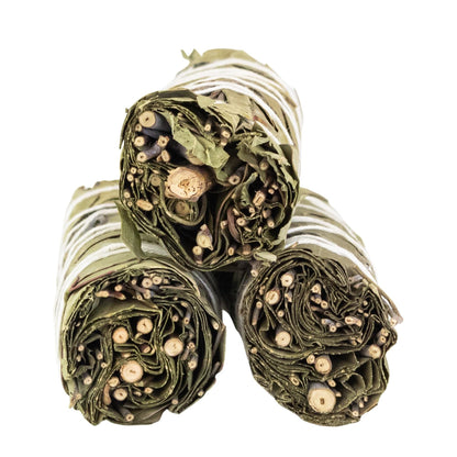 Eucalyptus Smudge Stick