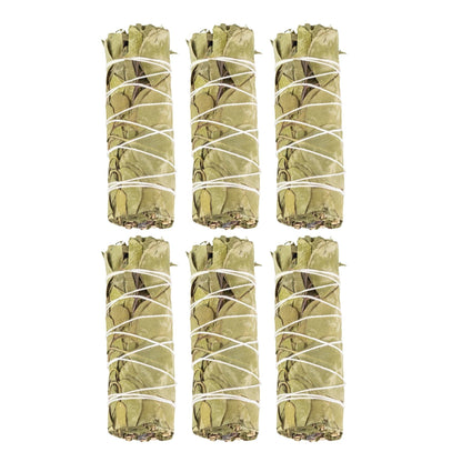 Eucalyptus Smudge Stick