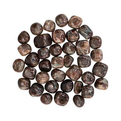 Garnet Tumbled 1lb
