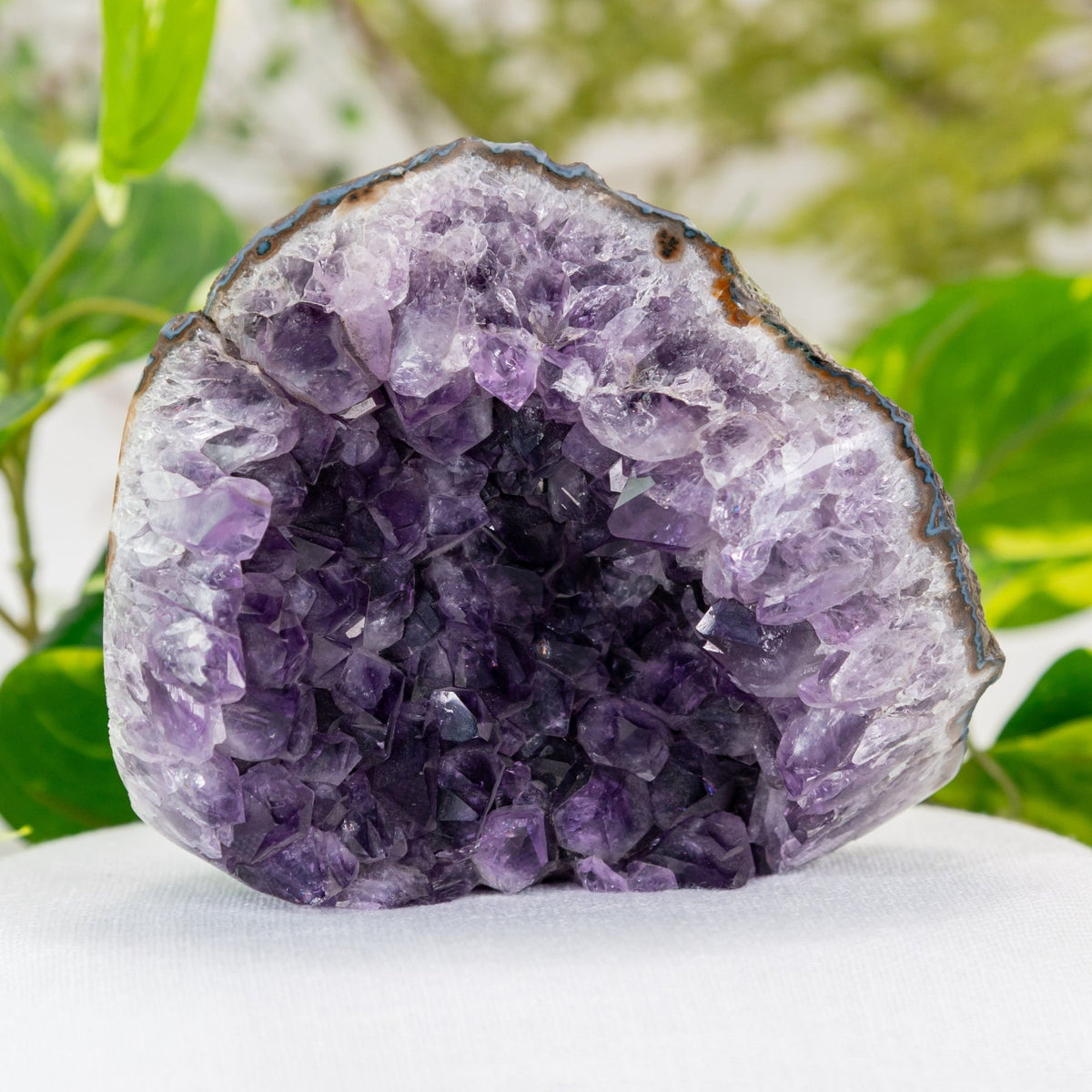 Amethyst Cut Base Geode Cluster