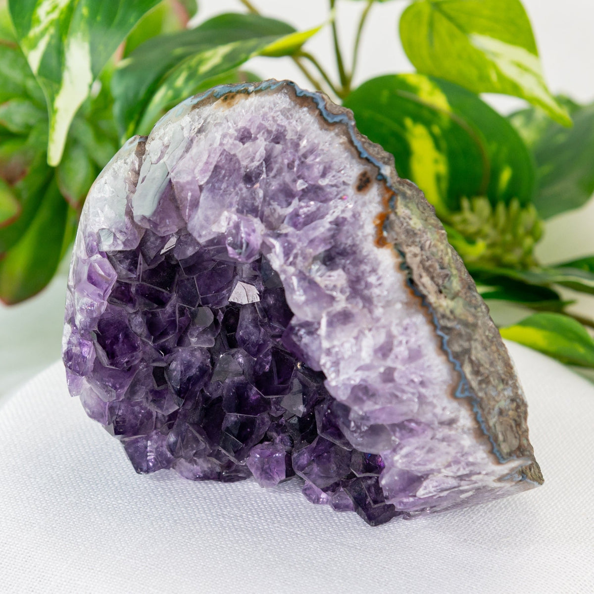 Amethyst Cut Base Geode Cluster