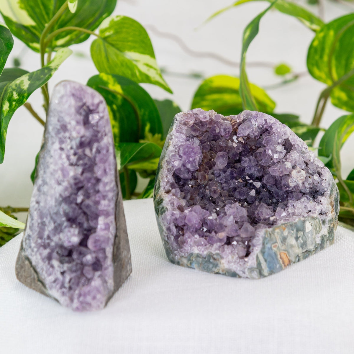 Amethyst Cut Base Geode Cluster