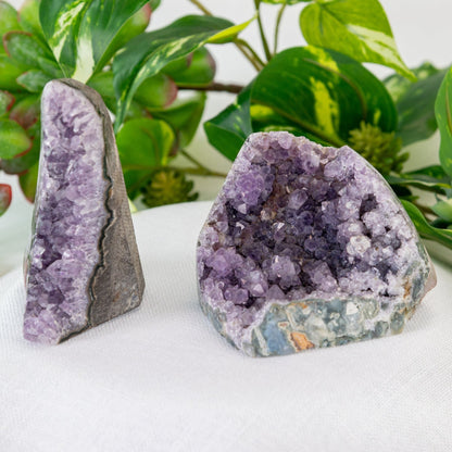 Amethyst Cut Base Geode Cluster