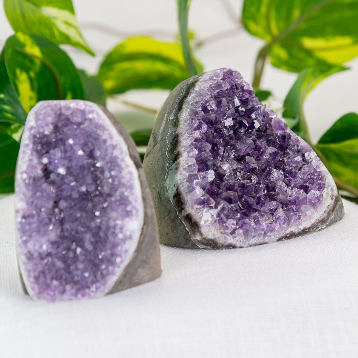 Amethyst Cut Base Geode Cluster