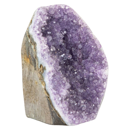 Amethyst Cut Base Geode Cluster