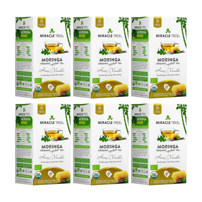 Organic Moringa Tea - Honey & Vanilla - Caffeine-Free Herbal Tea