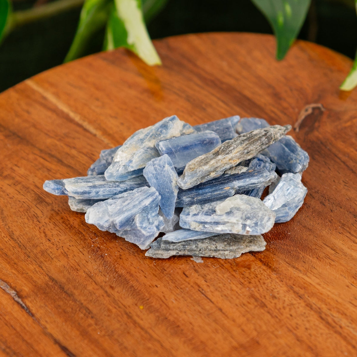 Blue Kyanite Blade 1lb
