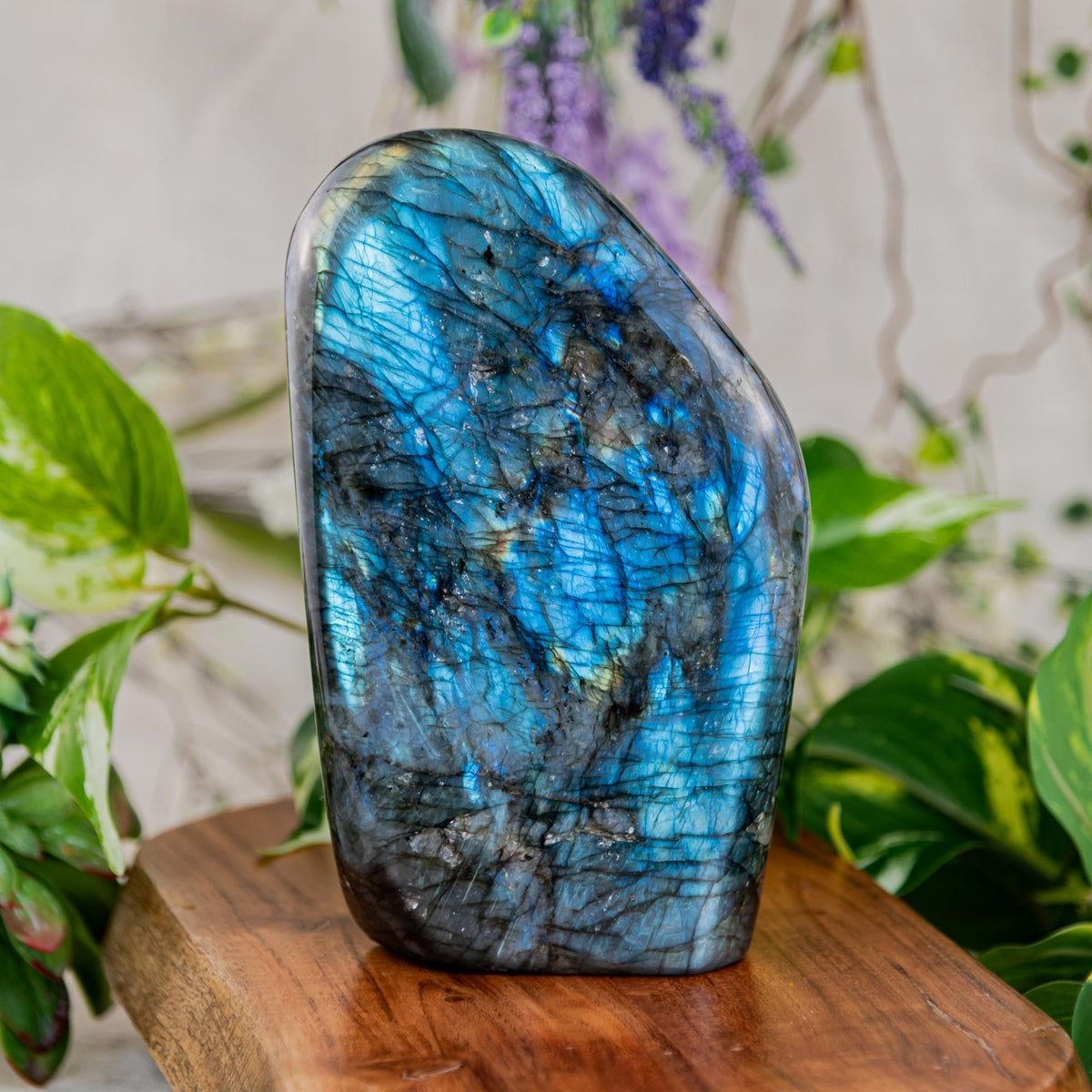 Labradorite Freeform