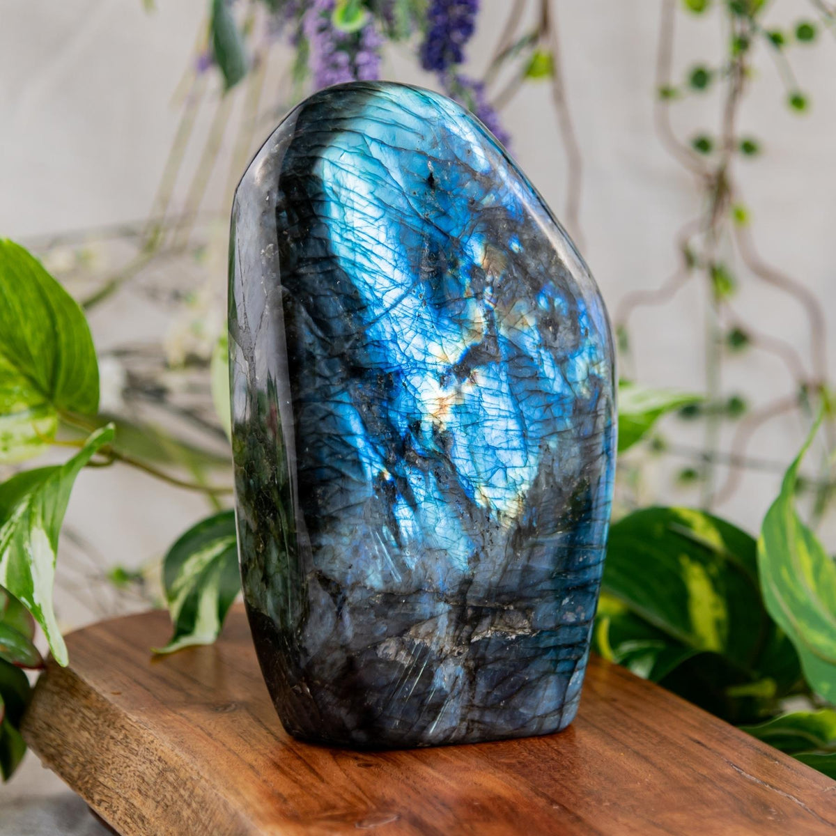 Labradorite Freeform