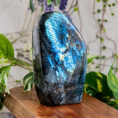 Labradorite Freeform