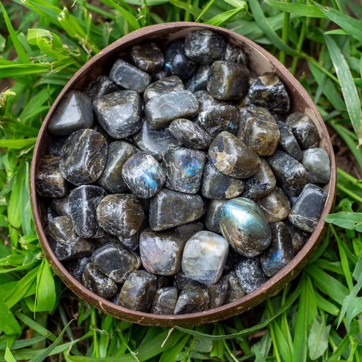 Labradorite Tumbled 1lb