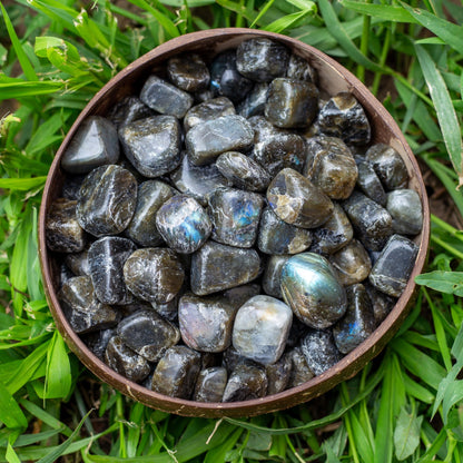 Labradorite Tumbled 1lb
