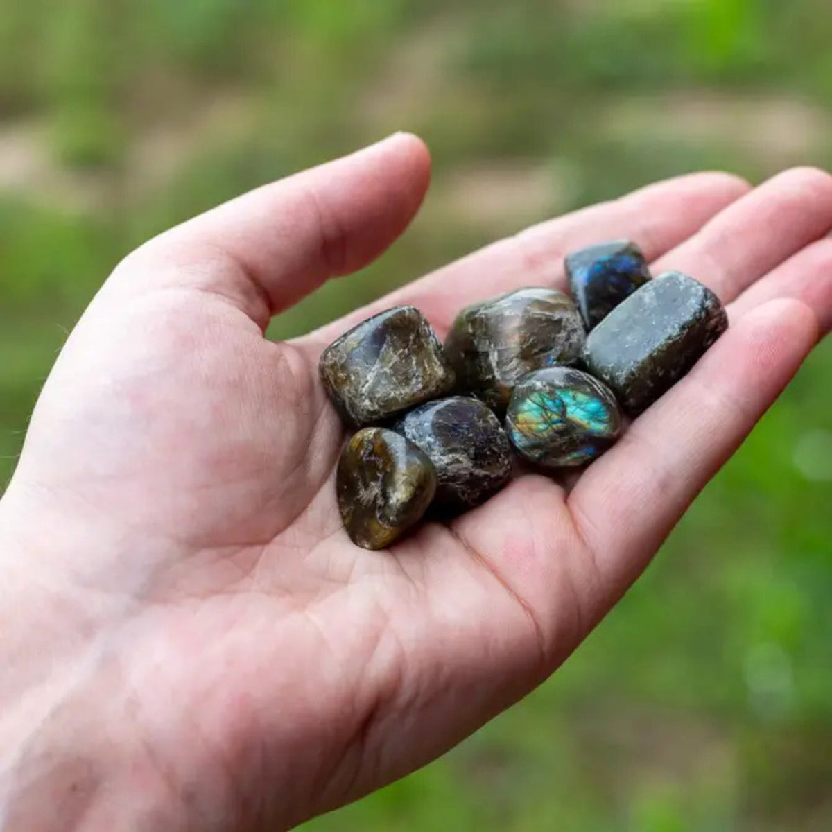 Labradorite Tumbled 1lb