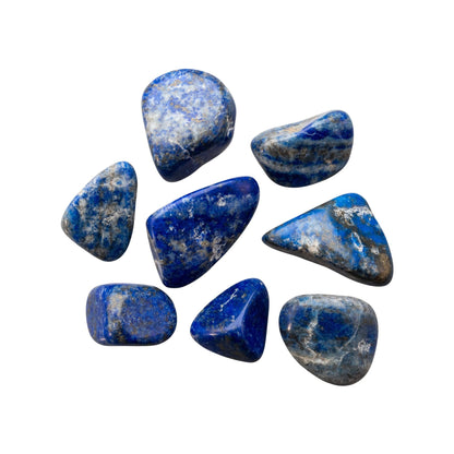 Lapis Lazuli Tumbled 1lb