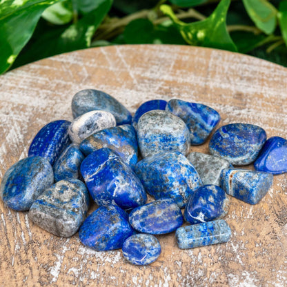 Lapis Lazuli Tumbled 1lb