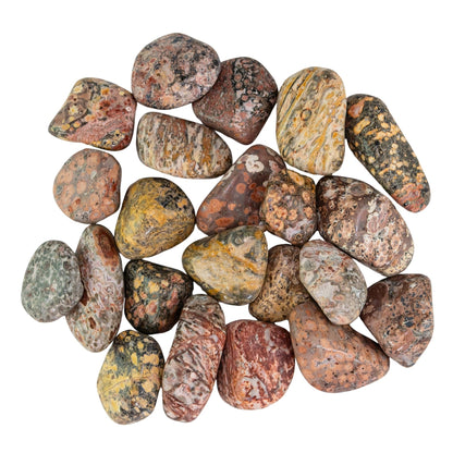 Leopardskin Jasper Tumbled 1lb