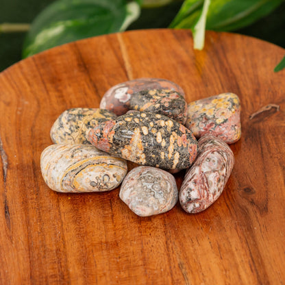 Leopardskin Jasper Tumbled 1lb
