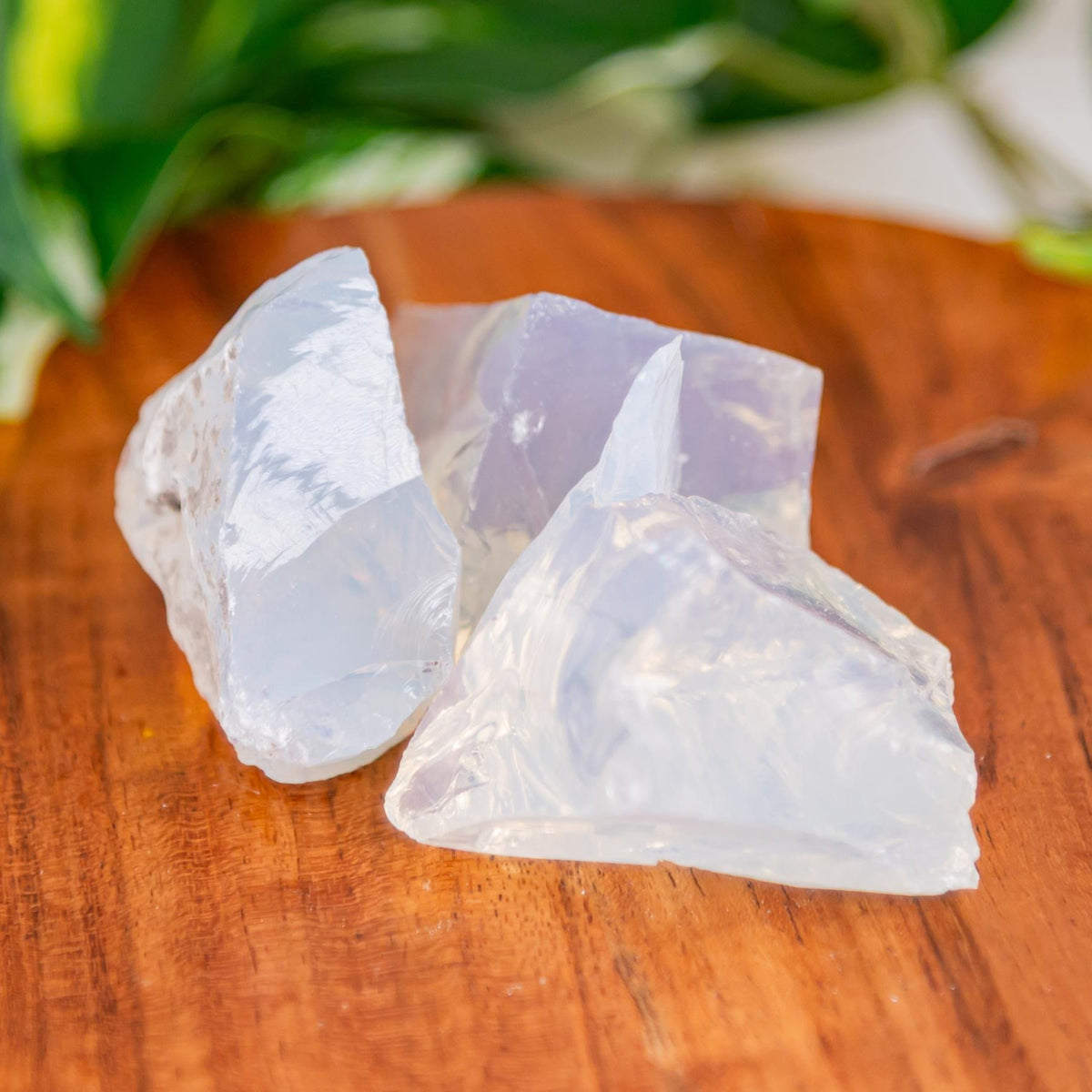 Opalite Raw