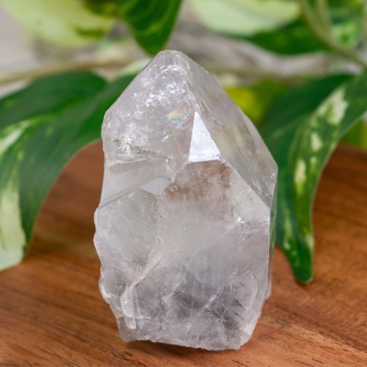 Phantom Clear Quartz Point