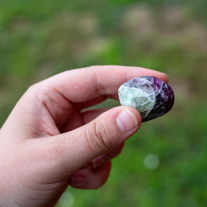 Fluorite Tumbled 1lb