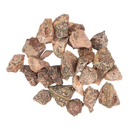 Leopardskin Jasper Raw 1lb