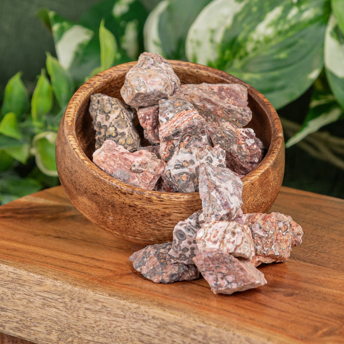 Leopardskin Jasper Raw 1lb