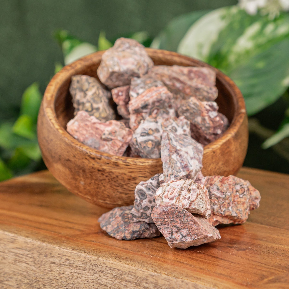 Leopardskin Jasper Raw 1lb
