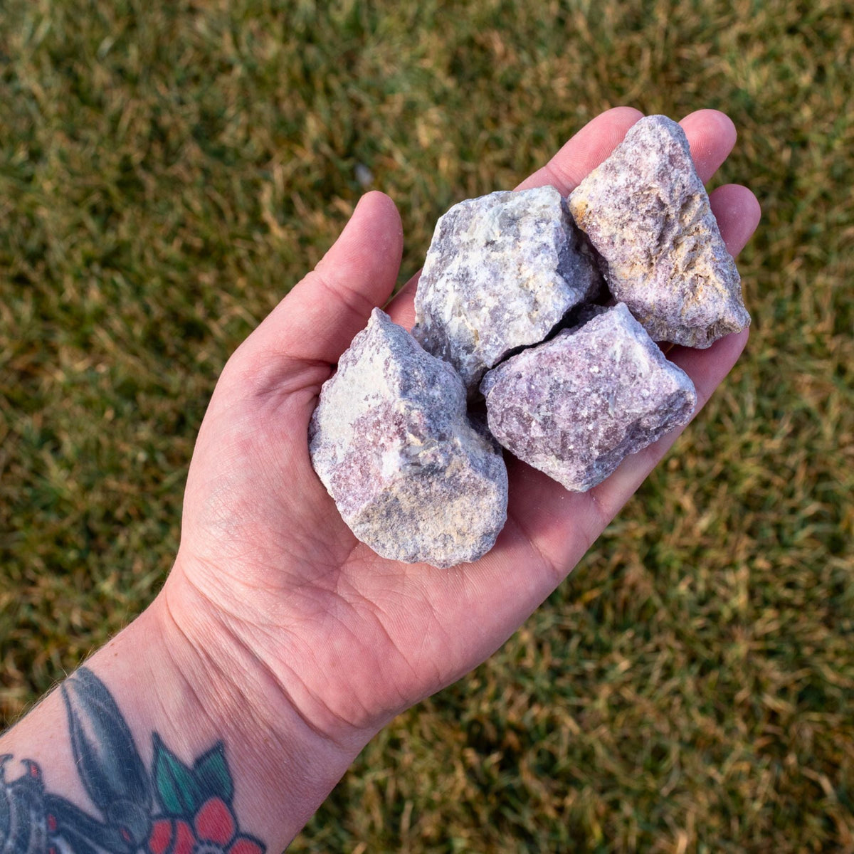 Lepidolite Raw 1lb
