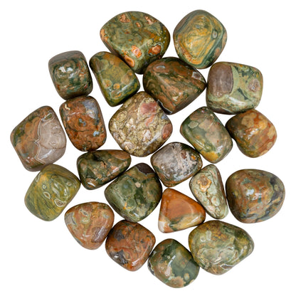 Rhyolite Tumbled 1lb