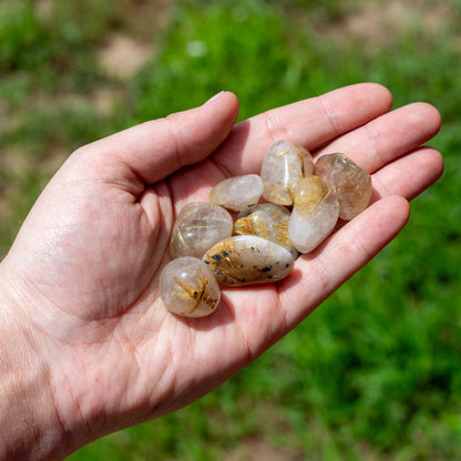 Rutilated Quartz Tumbled 1lb