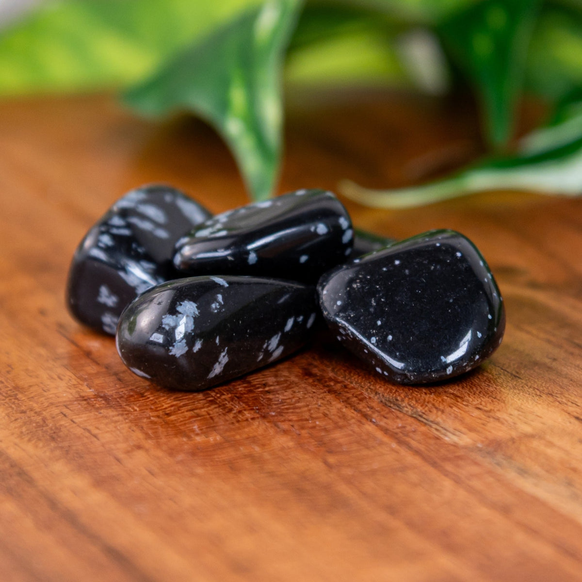 Snowflake Obsidian Tumbled 1lb