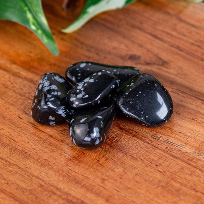 Snowflake Obsidian Tumbled 1lb